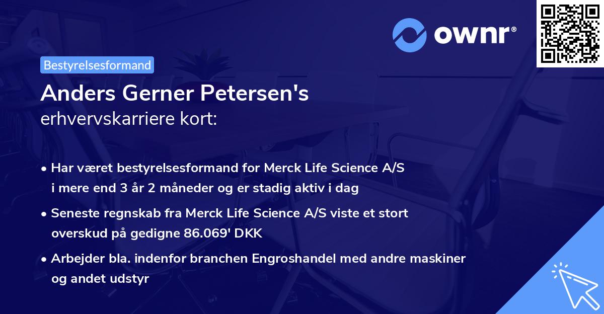 Anders Gerner Petersen's erhvervskarriere kort