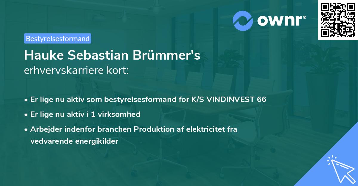 Hauke Sebastian Brümmer's erhvervskarriere kort