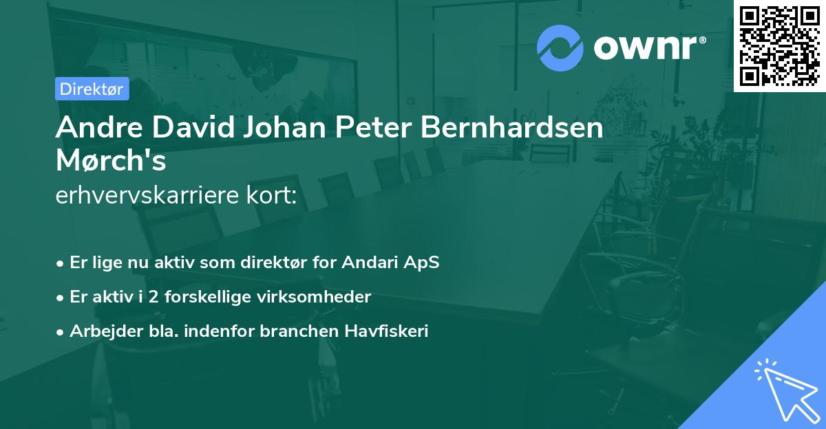 Andre David Johan Peter Bernhardsen Mørch's erhvervskarriere kort