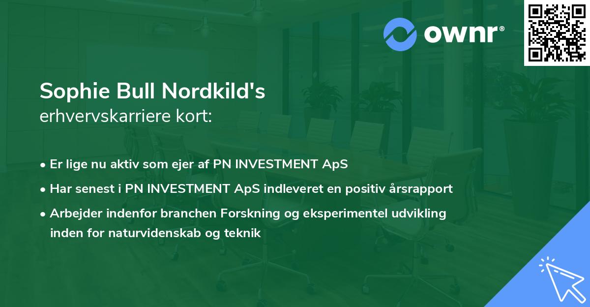Sophie Bull Nordkild's erhvervskarriere kort