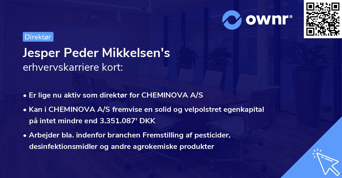 Jesper Peder Mikkelsen's erhvervskarriere kort