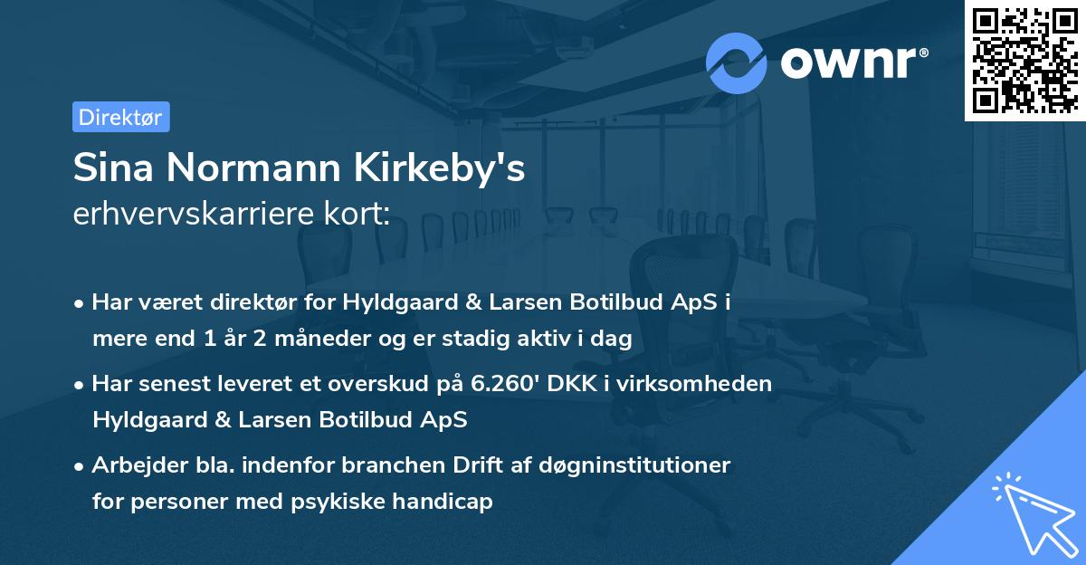 Sina Normann Kirkeby's erhvervskarriere kort