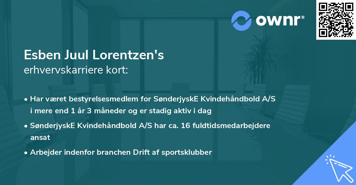 Esben Juul Lorentzen's erhvervskarriere kort