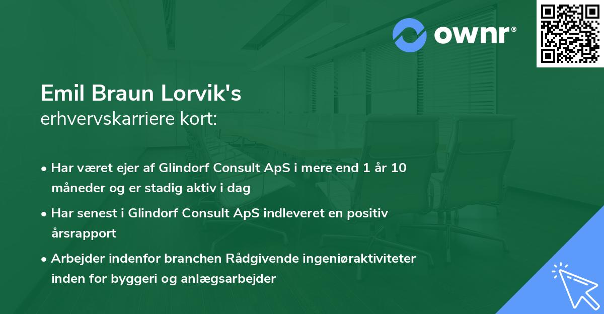 Emil Braun Lorvik's erhvervskarriere kort