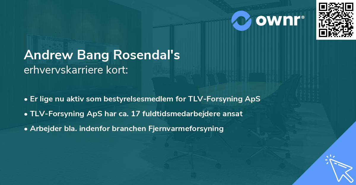 Andrew Bang Rosendal's erhvervskarriere kort