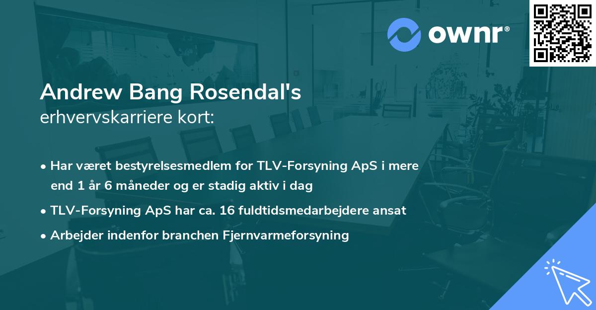 Andrew Bang Rosendal's erhvervskarriere kort