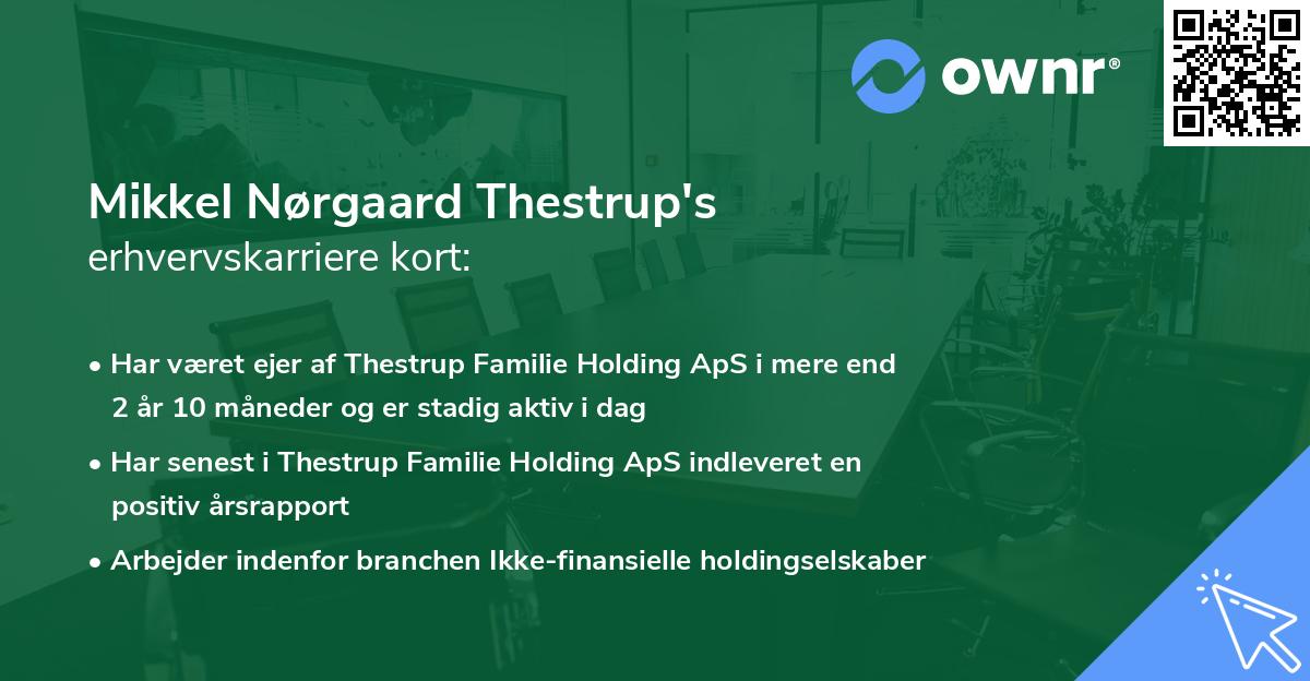 Mikkel Nørgaard Thestrup's erhvervskarriere kort