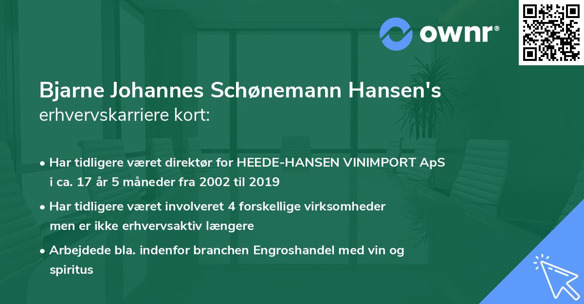 Bjarne Johannes Schønemann Hansen's erhvervskarriere kort