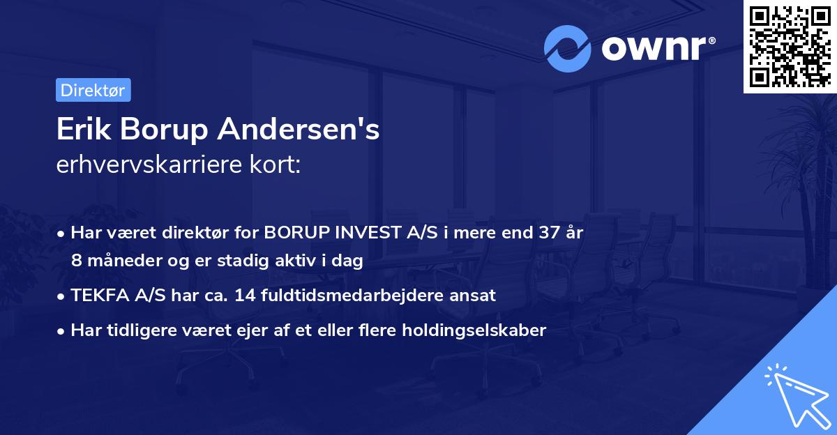 Erik Borup Andersen's erhvervskarriere kort