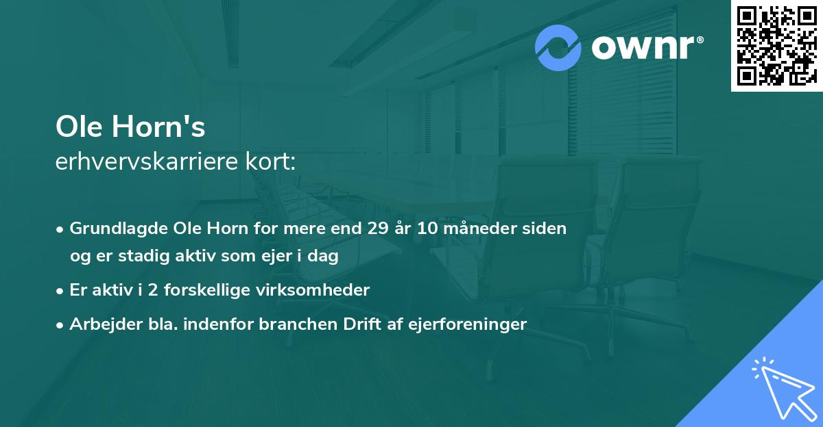 Ole Horn's erhvervskarriere kort