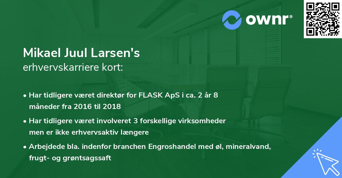 Mikael Juul Larsen's erhvervskarriere kort