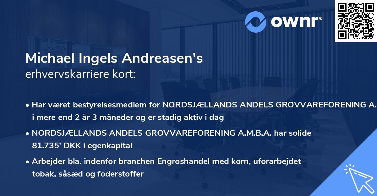 Michael Ingels Andreasen's erhvervskarriere kort