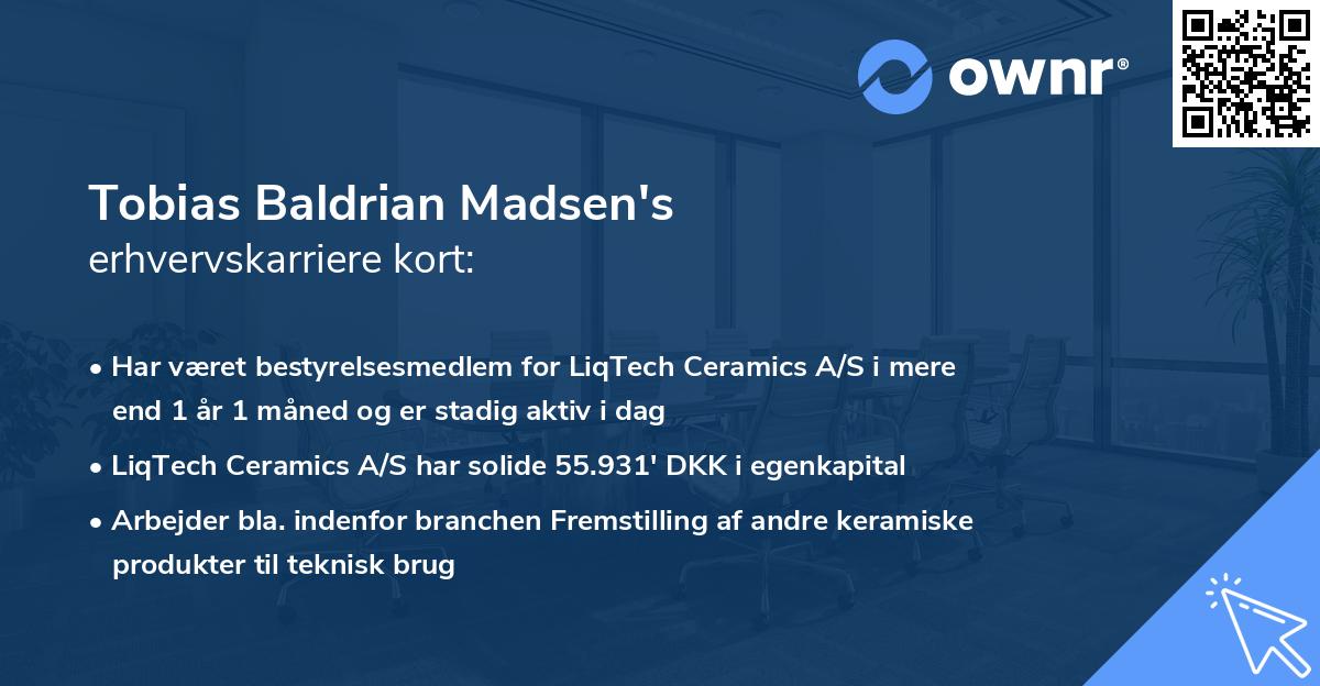 Tobias Baldrian Madsen's erhvervskarriere kort