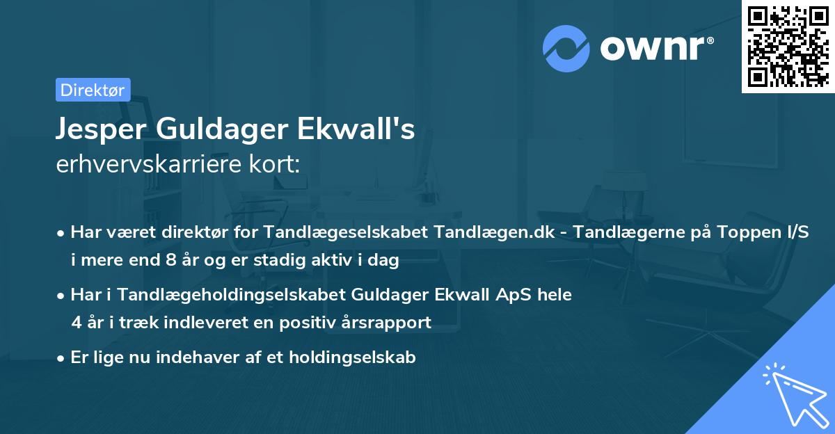 Jesper Guldager Ekwall's erhvervskarriere kort