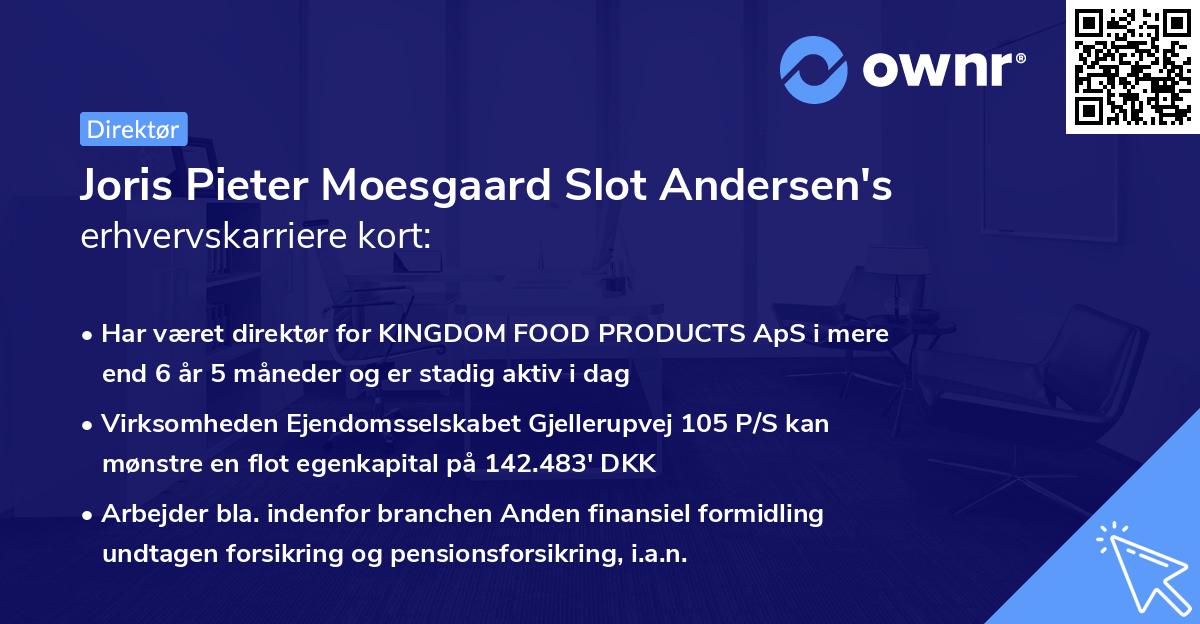 Joris Pieter Moesgaard Slot Andersen's erhvervskarriere kort