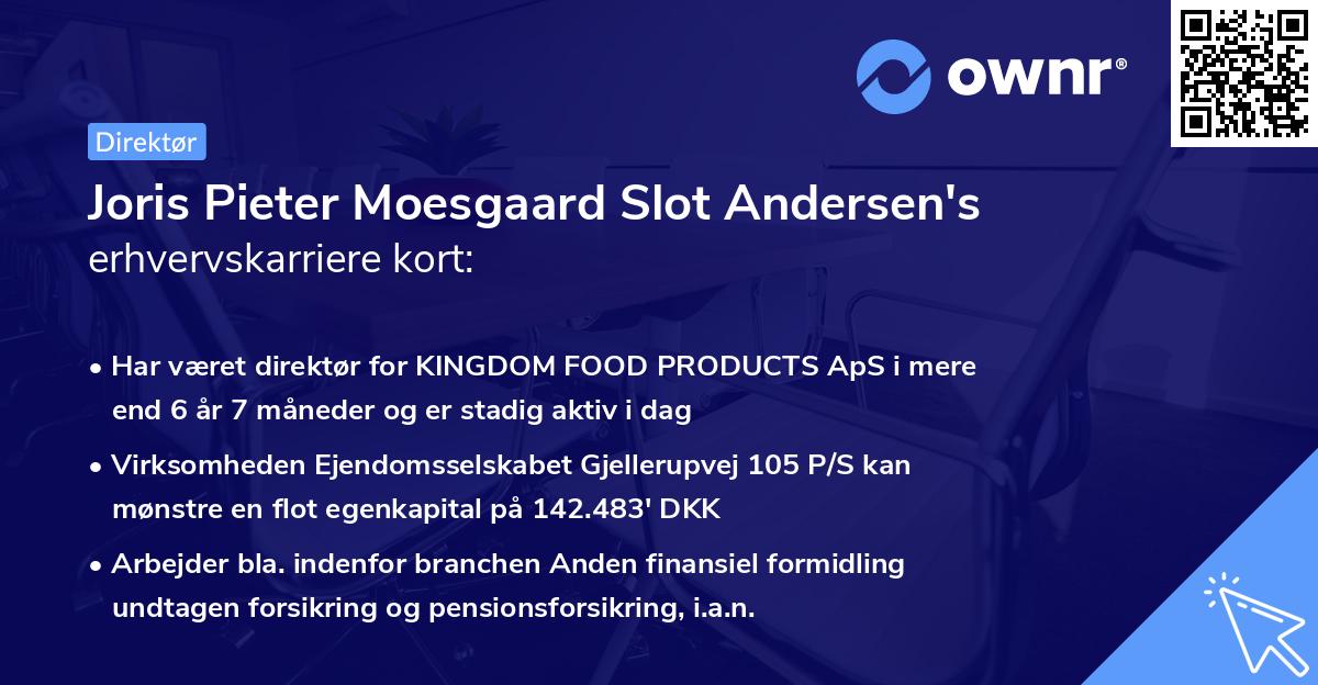 Joris Pieter Moesgaard Slot Andersen's erhvervskarriere kort