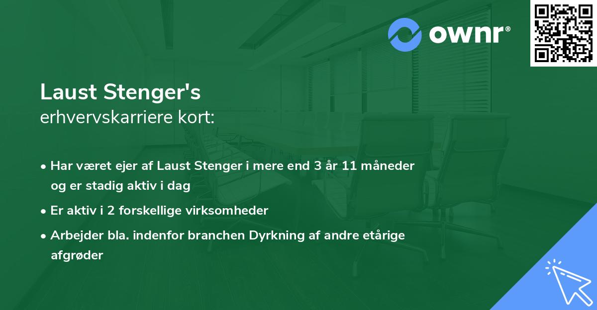 Laust Stenger's erhvervskarriere kort