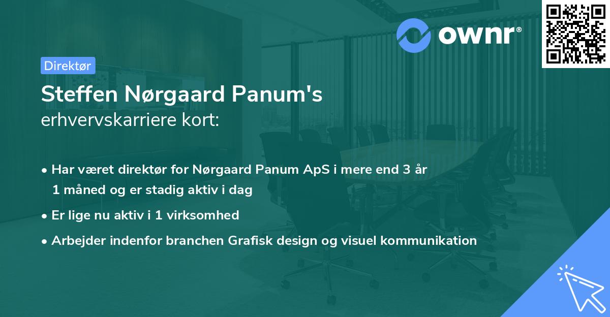 Steffen Nørgaard Panum's erhvervskarriere kort