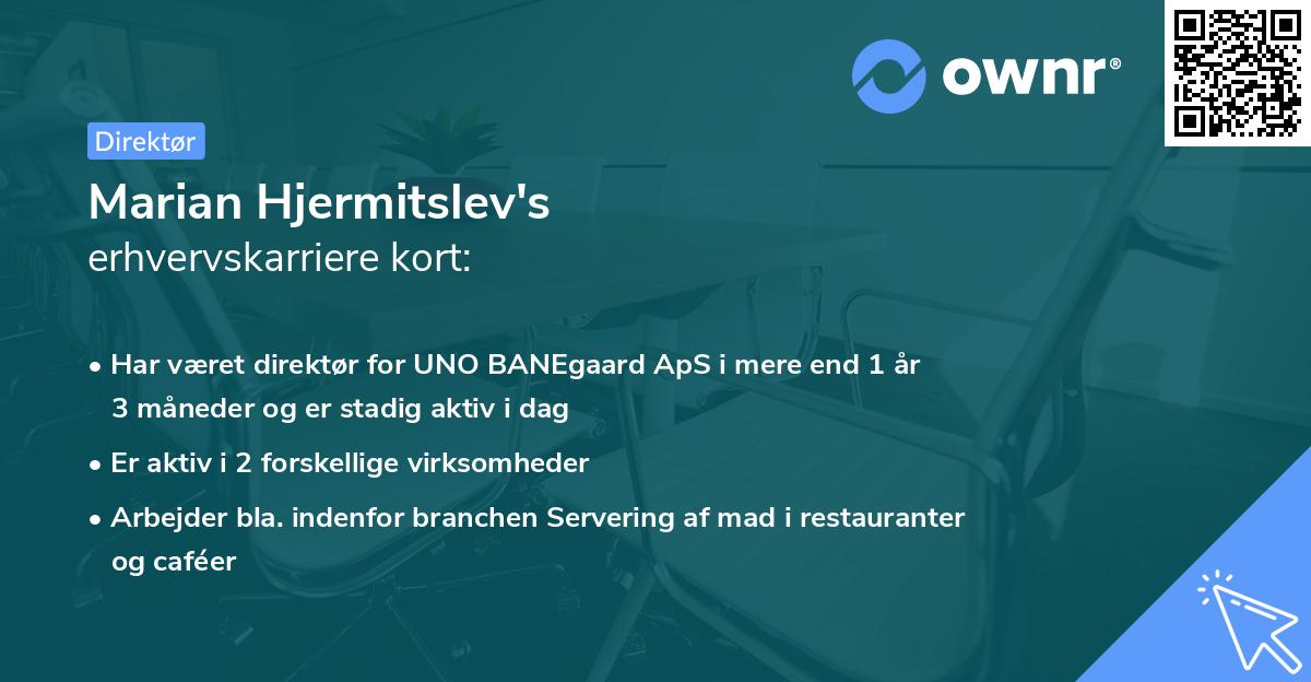 Marian Hjermitslev's erhvervskarriere kort