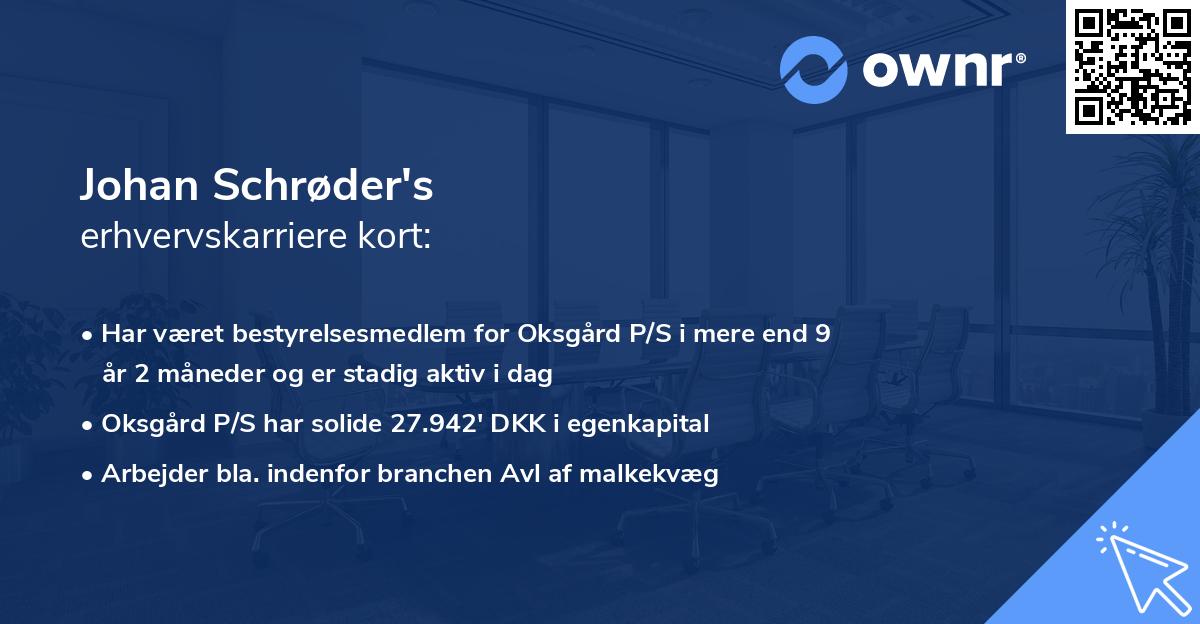 Johan Schrøder's erhvervskarriere kort