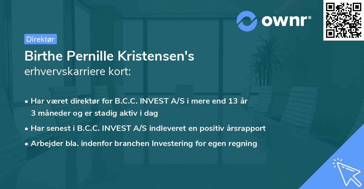 Birthe Pernille Kristensen's erhvervskarriere kort