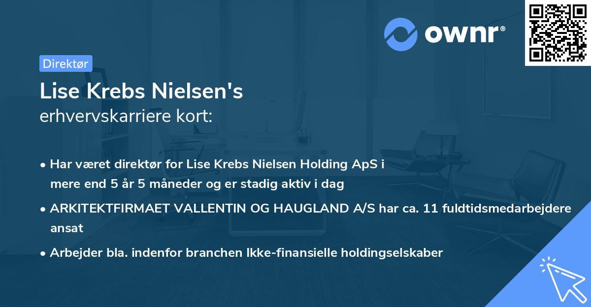 Lise Krebs Nielsen's erhvervskarriere kort