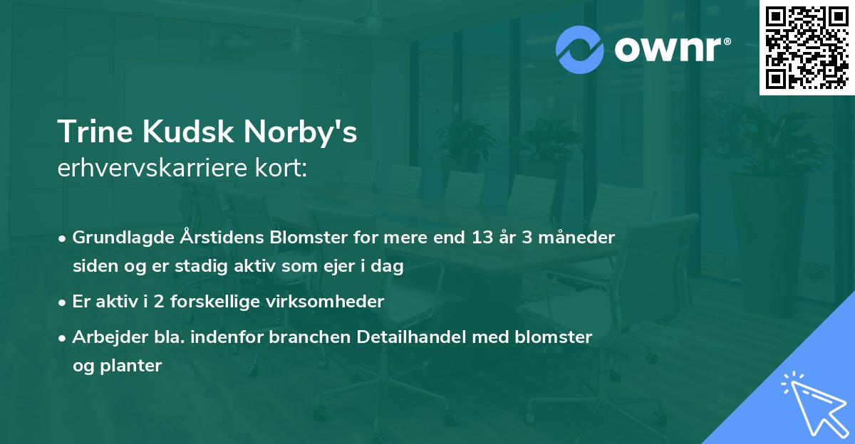 Trine Kudsk Norby's erhvervskarriere kort