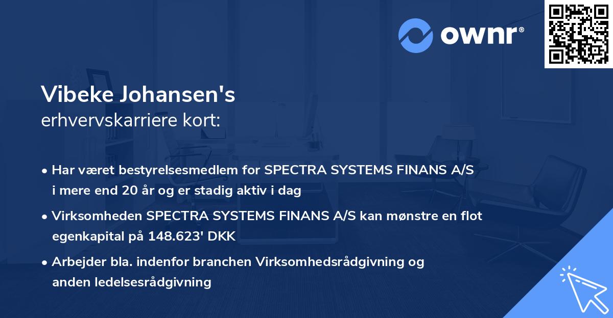 Vibeke Johansen's erhvervskarriere kort