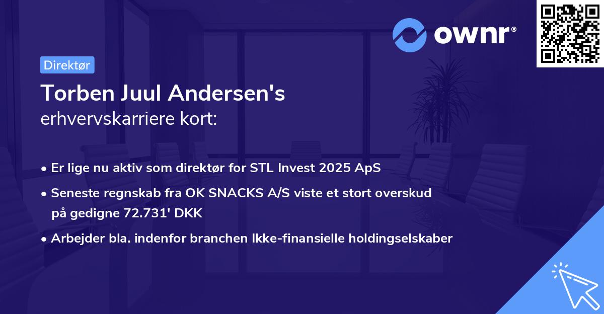 Torben Juul Andersen's erhvervskarriere kort