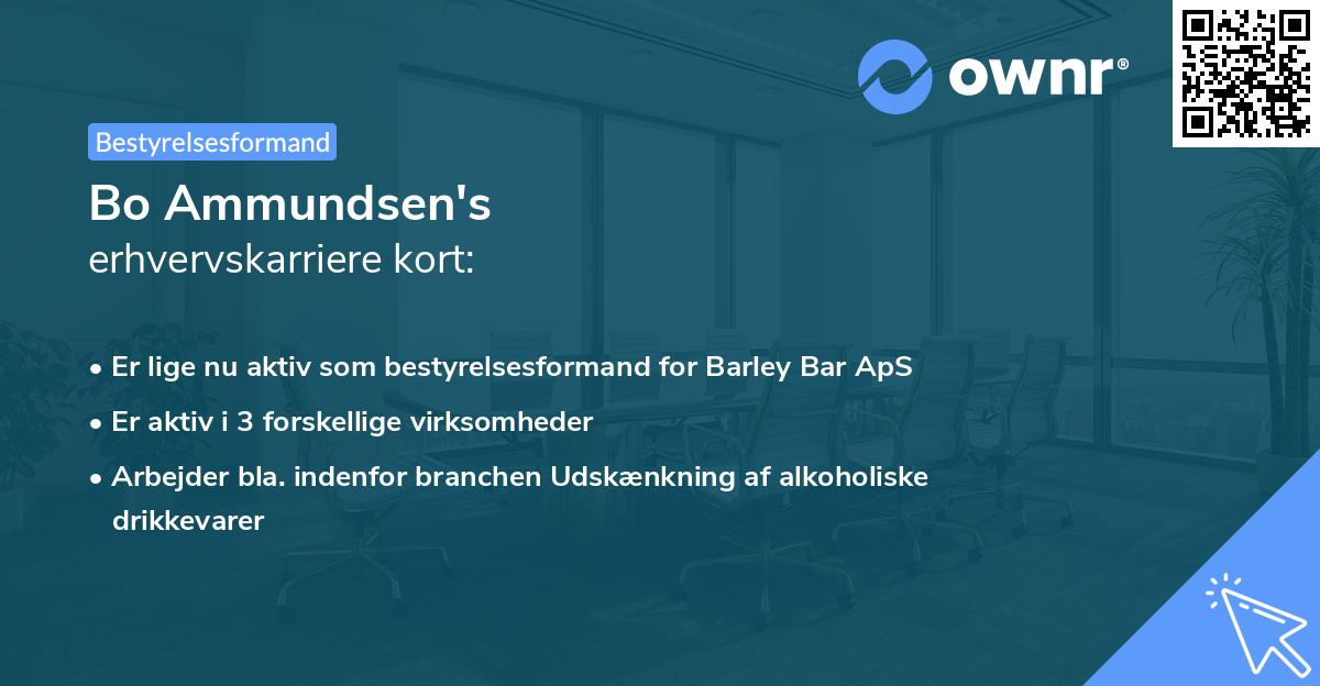 Bo Ammundsen's erhvervskarriere kort