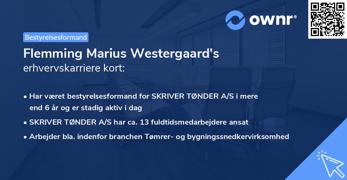 Flemming Marius Westergaard's erhvervskarriere kort