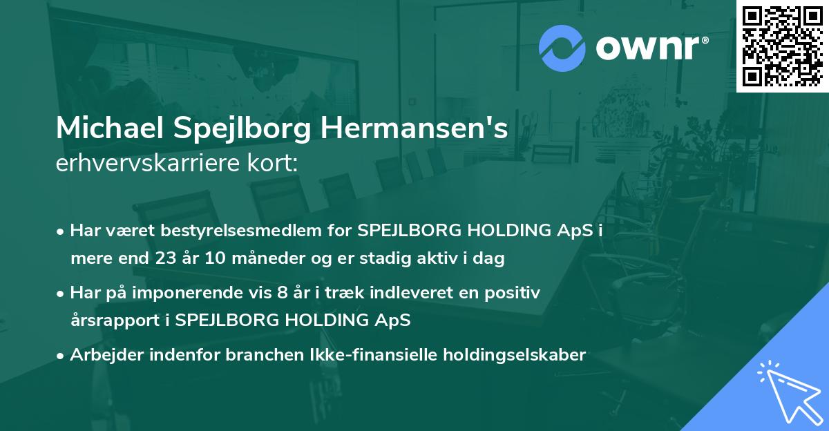 Michael Spejlborg Hermansen's erhvervskarriere kort