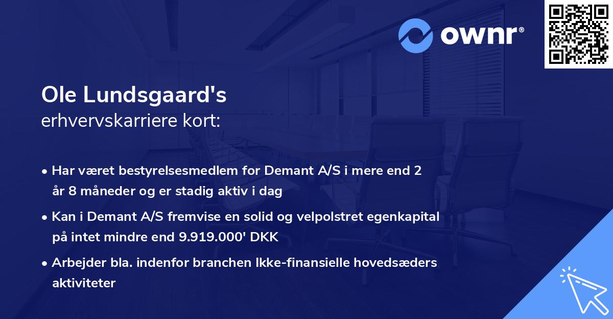 Ole Lundsgaard's erhvervskarriere kort