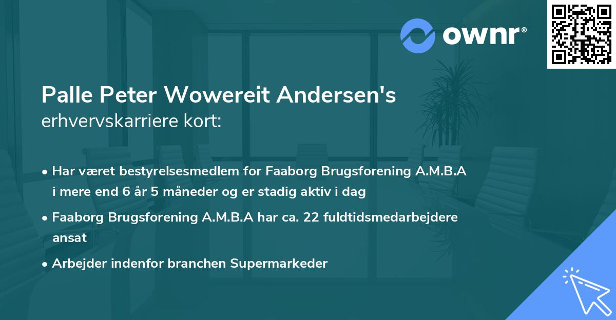 Palle Peter Wowereit Andersen's erhvervskarriere kort