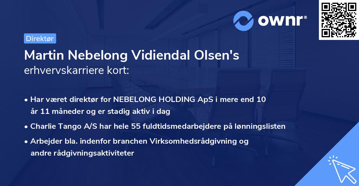 Martin Nebelong Vidiendal Olsen's erhvervskarriere kort