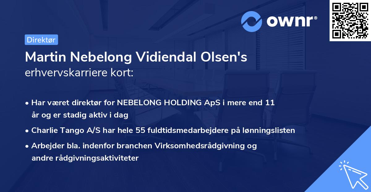 Martin Nebelong Vidiendal Olsen's erhvervskarriere kort