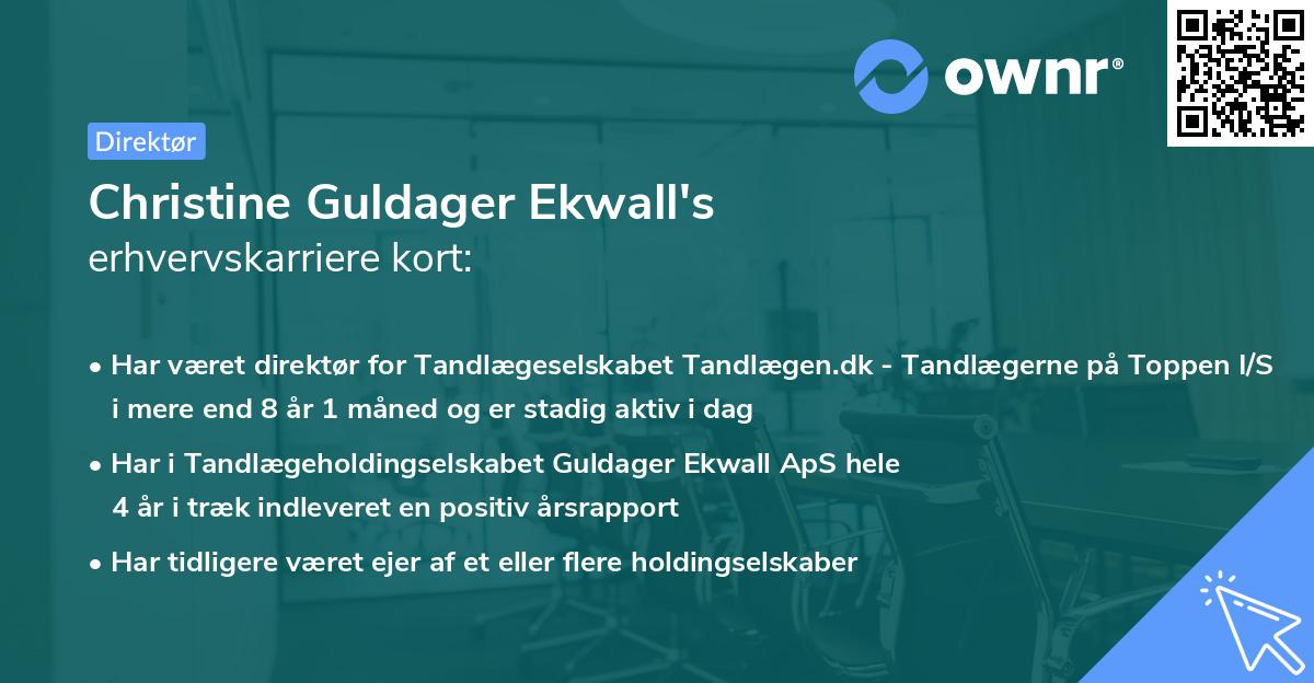 Christine Guldager Ekwall's erhvervskarriere kort