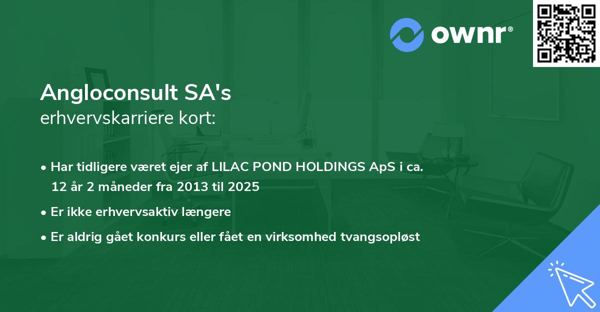 Angloconsult SA's erhvervskarriere kort