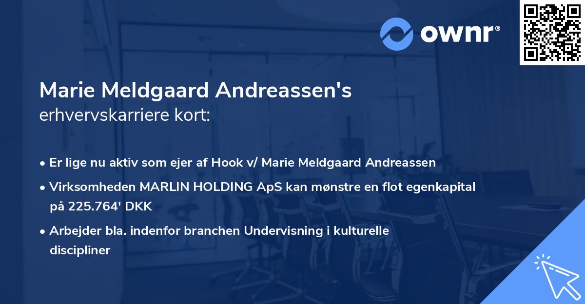 Marie Meldgaard Andreassen's erhvervskarriere kort