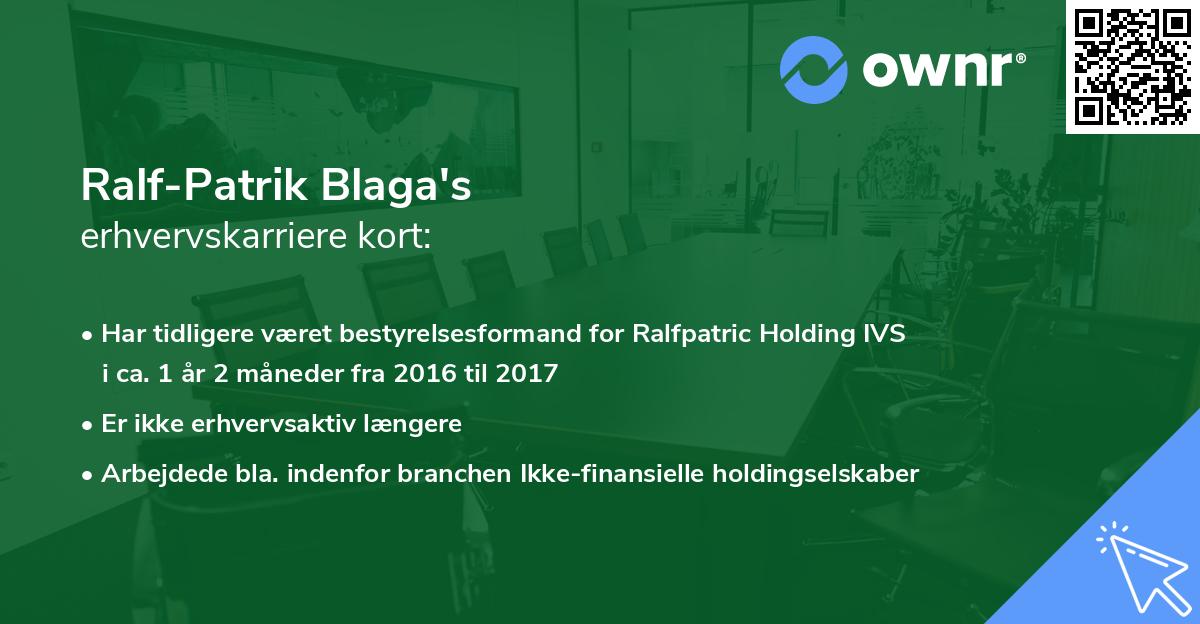 Ralf-Patrik Blaga's erhvervskarriere kort