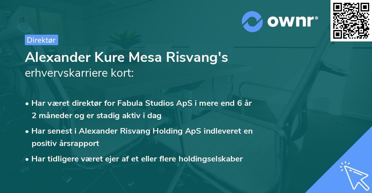 Alexander Kure Mesa Risvang's erhvervskarriere kort