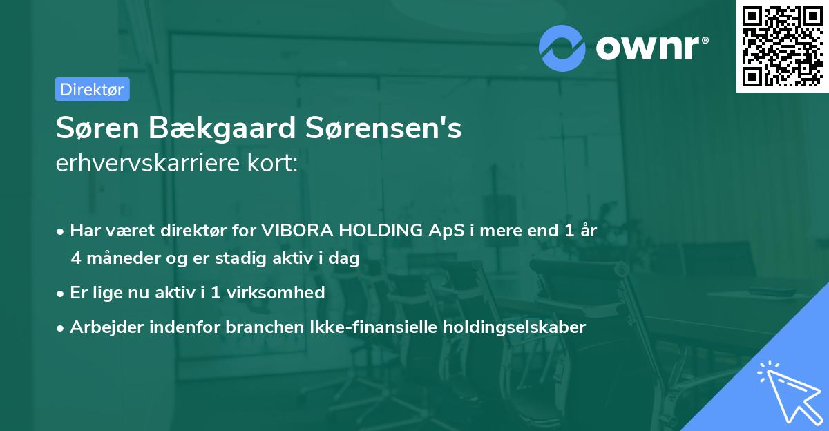 Søren Bækgaard Sørensen's erhvervskarriere kort