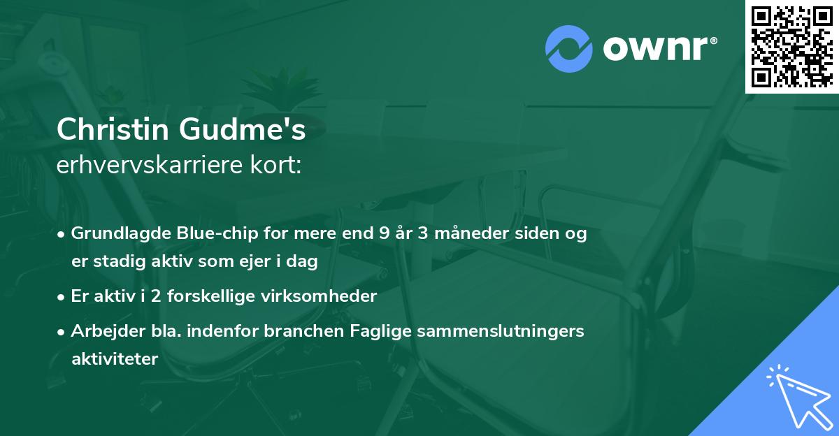 Christin Gudme's erhvervskarriere kort