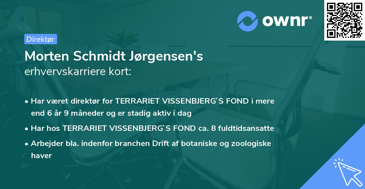 Morten Schmidt Jørgensen's erhvervskarriere kort
