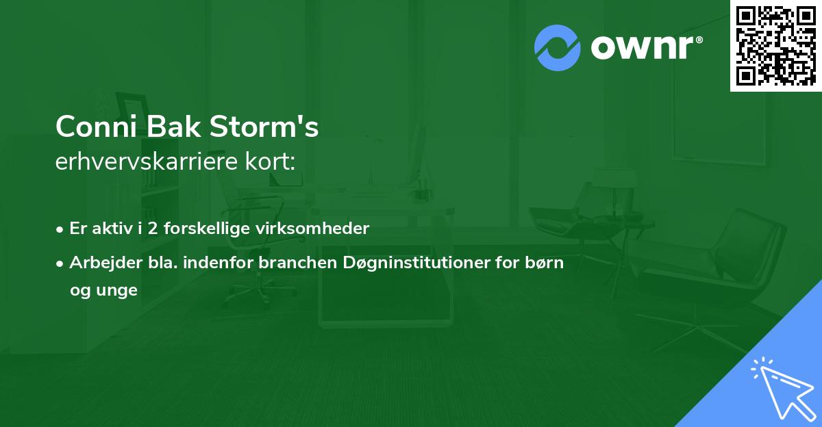 Conni Bak Storm's erhvervskarriere kort