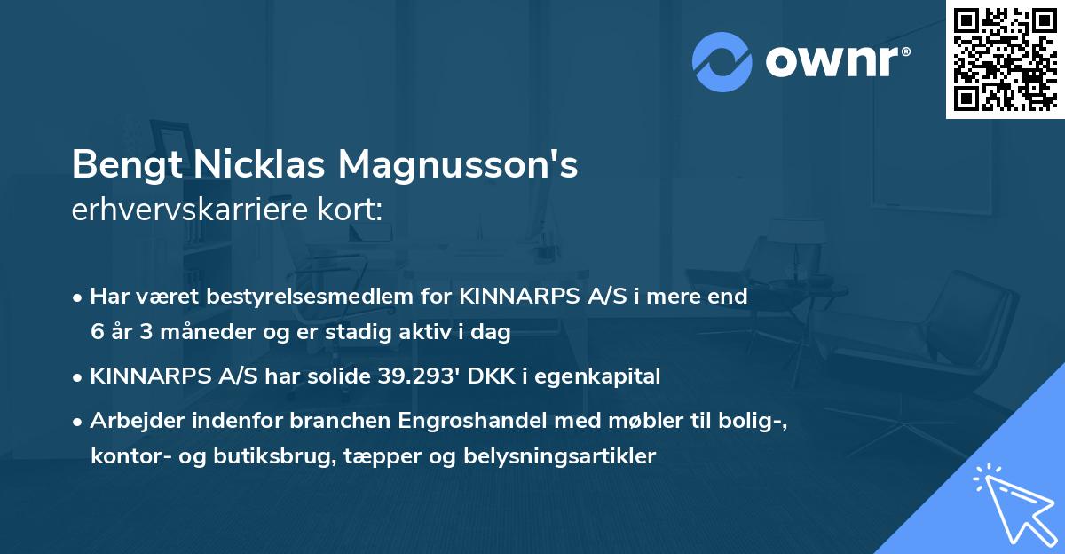 Bengt Nicklas Magnusson's erhvervskarriere kort