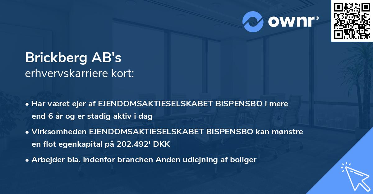 Brickberg AB's erhvervskarriere kort