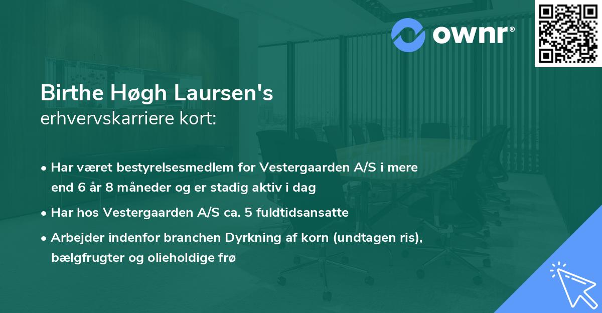 Birthe Høgh Laursen's erhvervskarriere kort