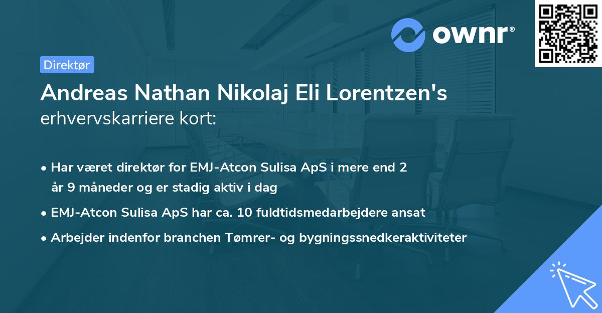 Andreas Nathan Nikolaj Eli Lorentzen's erhvervskarriere kort