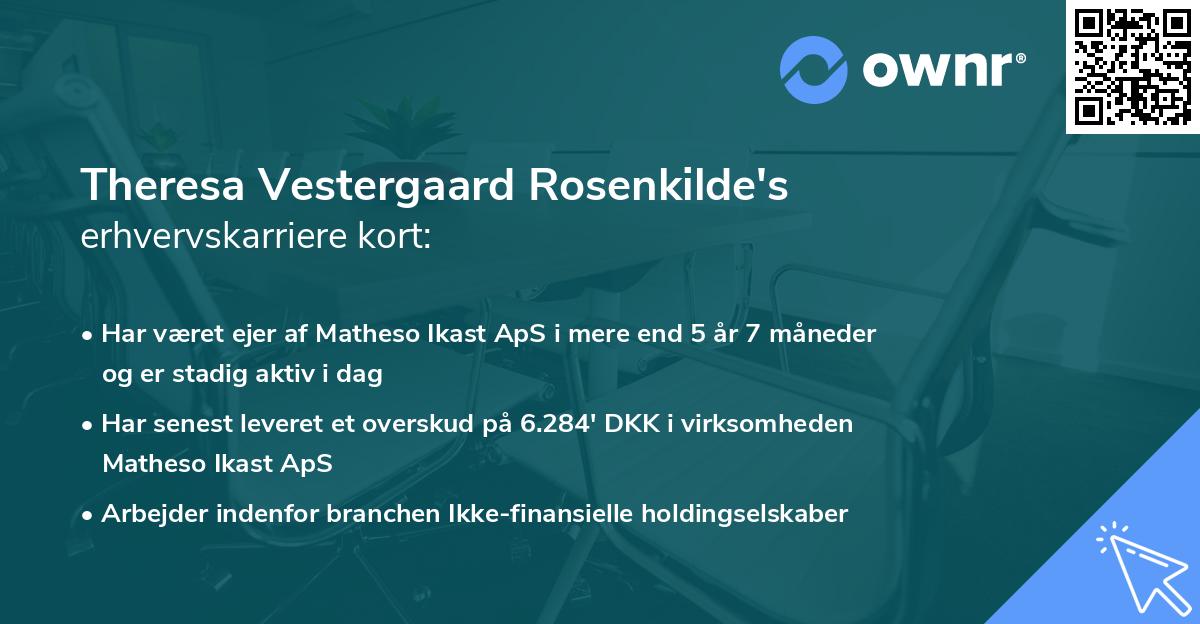 Theresa Vestergaard Rosenkilde's erhvervskarriere kort